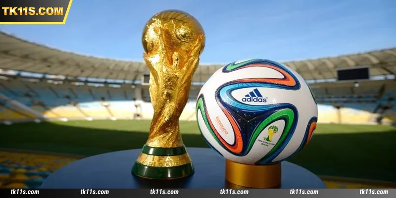 A wide variety of exciting betting tournaments