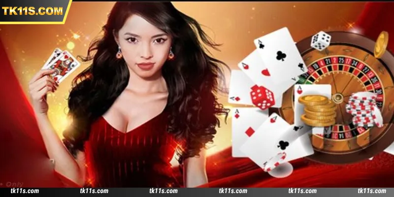 About Tk11 in 2026 is very detailed for bettors